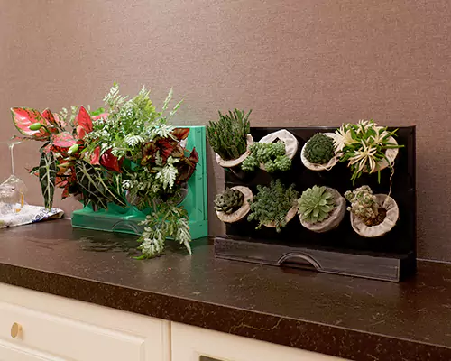 The colorful flowerpots make my plants feel like they are on vacation every day