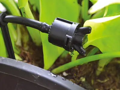 Dripper Irrigation