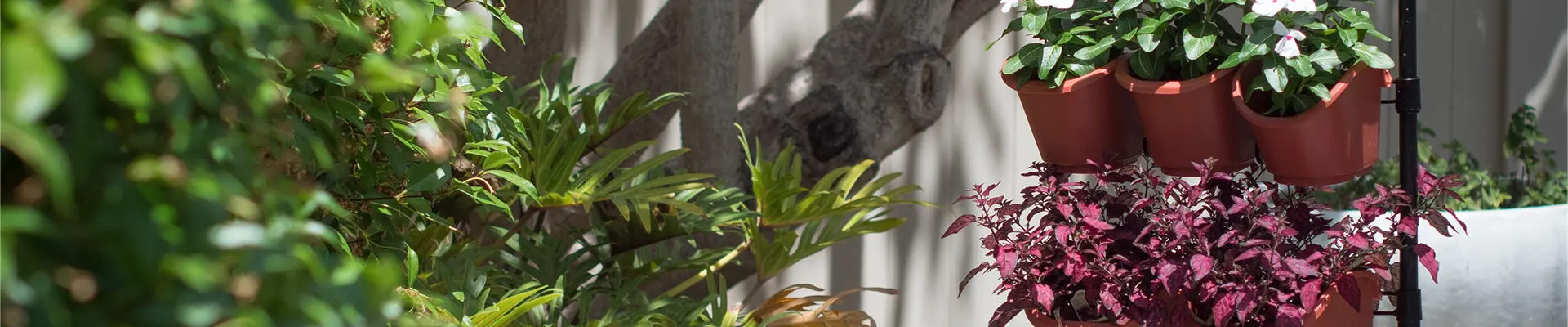 Eco Gardening Vertical Garden