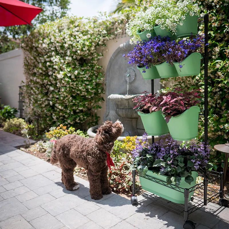 Metal Mobile Green Wall Double Frame Metal Mobile Green Wall Double Frame