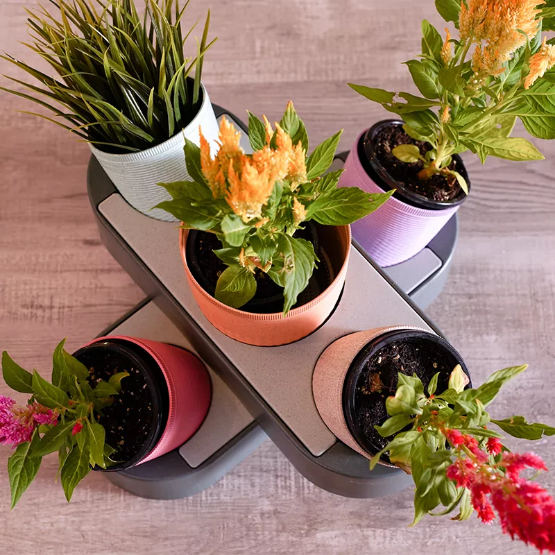 Stackable Desktop Garden Flower Pot